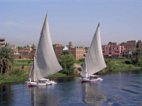 Edfu, Feluken