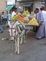 Assuan, Straßenhändler