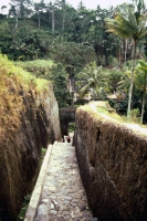 Pura Mengening, der Quelltempel