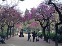 Barcelona, Park bei der Sagrada Família