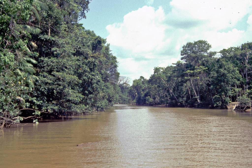 In der Amazonasmündung nahe Belém