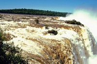 Iguazú, Wasserfälle