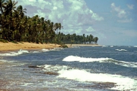 Praia do Forte, Strand