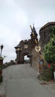 Cochem, Reichsburg