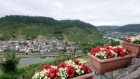 Cochem, Reichsburg, Aussicht