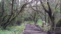 La Gomera, Naturpark Laguna Grande