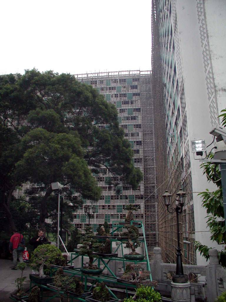 Hongkong, Sik Sik Yuen Wong Tai Sin Temple, Bambusgerüst am Hochhaus
