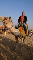 Jaisalmer, Kamelritt in den Sanddünen