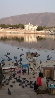 Pushkar, Pushkar See