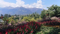 Meran, Schloss Trauttmansdorff mit botanischen Gärten