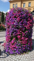 Bruneck, Blumengebinde