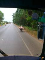 Siem Reap, Schweinetransport