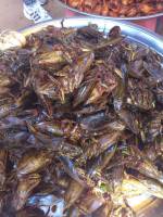 Kâmpóng Cham, Markt, gegrillte Heuschreken
