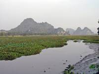 Kampot, Landschaft kurz vor der vietnamesichen Grenze