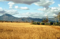 Taita Hills, Landschaft