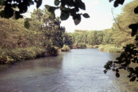 Tsavo West Nationalpark, Abfluss der Mzima Quelle