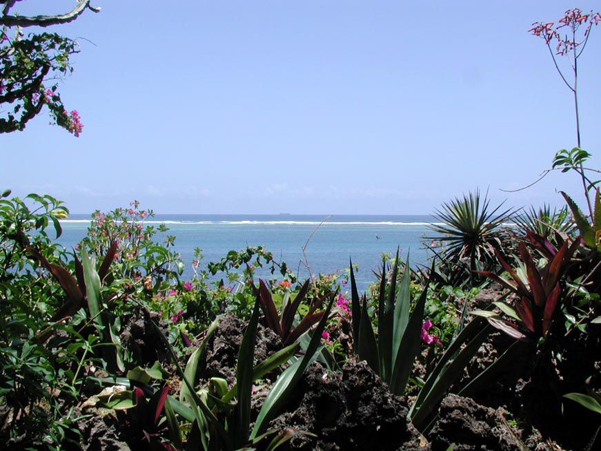 Meeresblick im Bahari Beach Hotel
