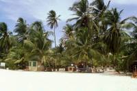 Kolumbien, San Andres, am Strand von "Johnny Cay"