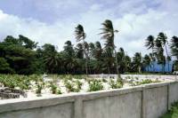 Kolumbien, San Andres, um die Insel mit dem Motorroller (ca. 12Km), Friedhof