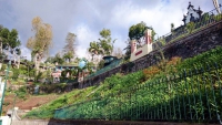 Madeira, Funchal, im Botanischen Garten