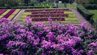 Madeira, Funchal, im Botanischen Garten