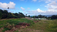 St. Kitts und Nevis, Bahnfahrt mit der alten Zuckerrohrbahn