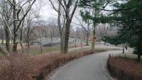 New York, Central Park South