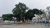 Azoren, Ponta Delgada