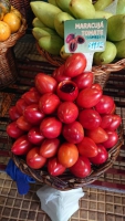 Madeira, Funchal, Tomatenmaracuja