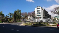 Madeira, Funchal, Straßenszene