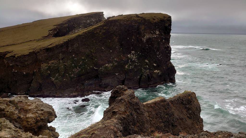Island, Hafnir, Vogelklippen an der Nordatlantikküste
