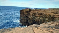 Orkney Inseln, Stromness, Sandsteinklippen von Yesnaby