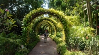 Singapur, im Orchideengarten