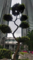 Kuala Lumpur, Petronas Towers