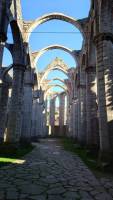 Gotland, Visby, Ruine der Kirche St. Katarina