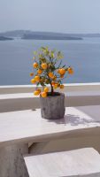 Santorin, Oía