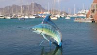 Kap Verden, São Vicente, Mindelo, Kunst