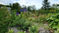 Tromsø, Botanischer Garten