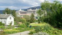 Tromsø, Botanischer Garten