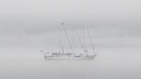 Spitzbergen, Longyearbyen, Segelschiff im Nebel