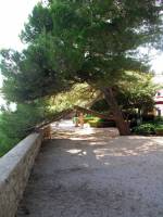 Insel Krk, Krk, Uferpromenade