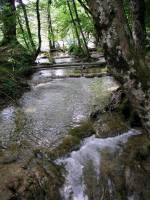 Kroatien, Nationalpark Plitvicer Seen