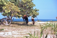 Santa Lucia, Strand