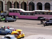 Ein "Krokodil", die für Havanna typischen Busse. Fassungsvermögen : 160 Personen