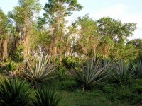 Die Gartenanlage des Hotel Villa El Yarey nahe Jiguani