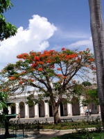 Am Parque Martí in Cienfuegos