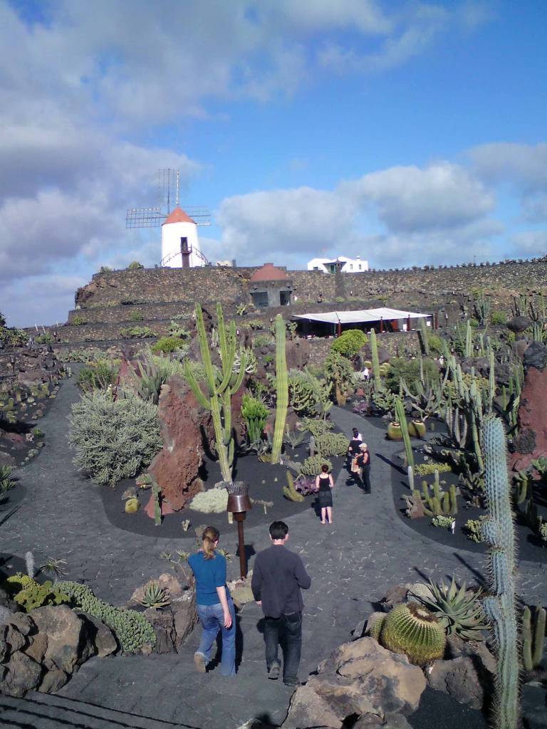 Lanzarote, Malakka, Kaktusgarten von Manrique