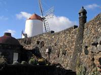 Lanzarote, Malakka, Kaktusgarten von Manrique