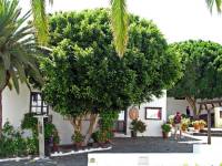 Fuerteventura, Betancuría, Straßenszene