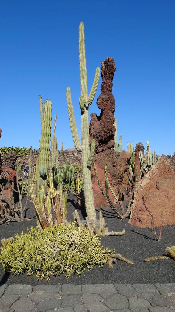 Teguise, Kaktusgarten von César Manrique